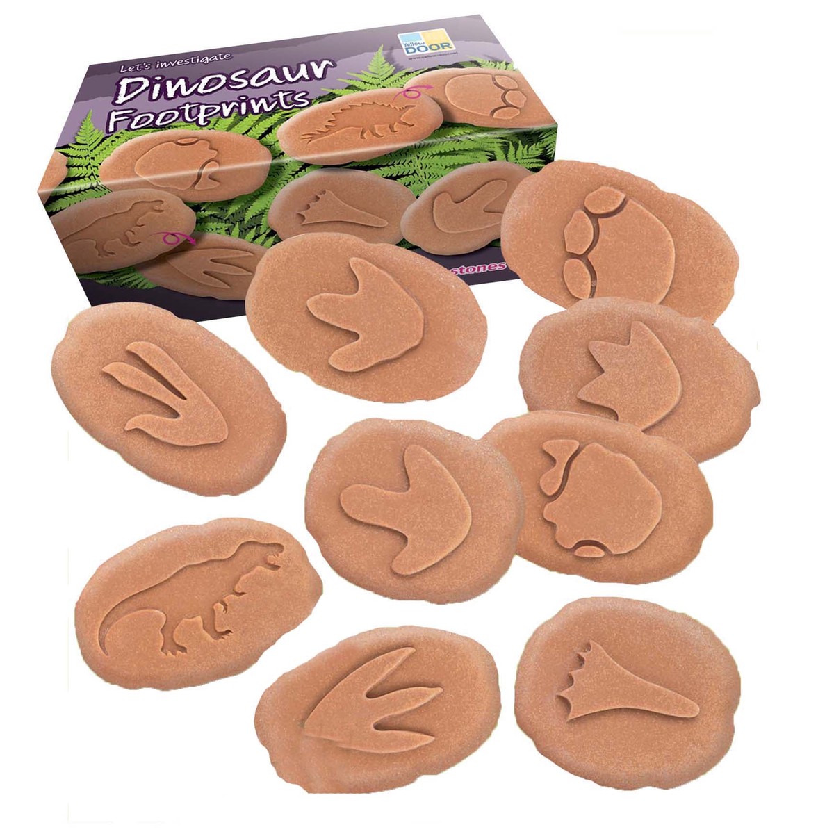 Dinosaur Footprint Fossils Discovery Set 8-Piece