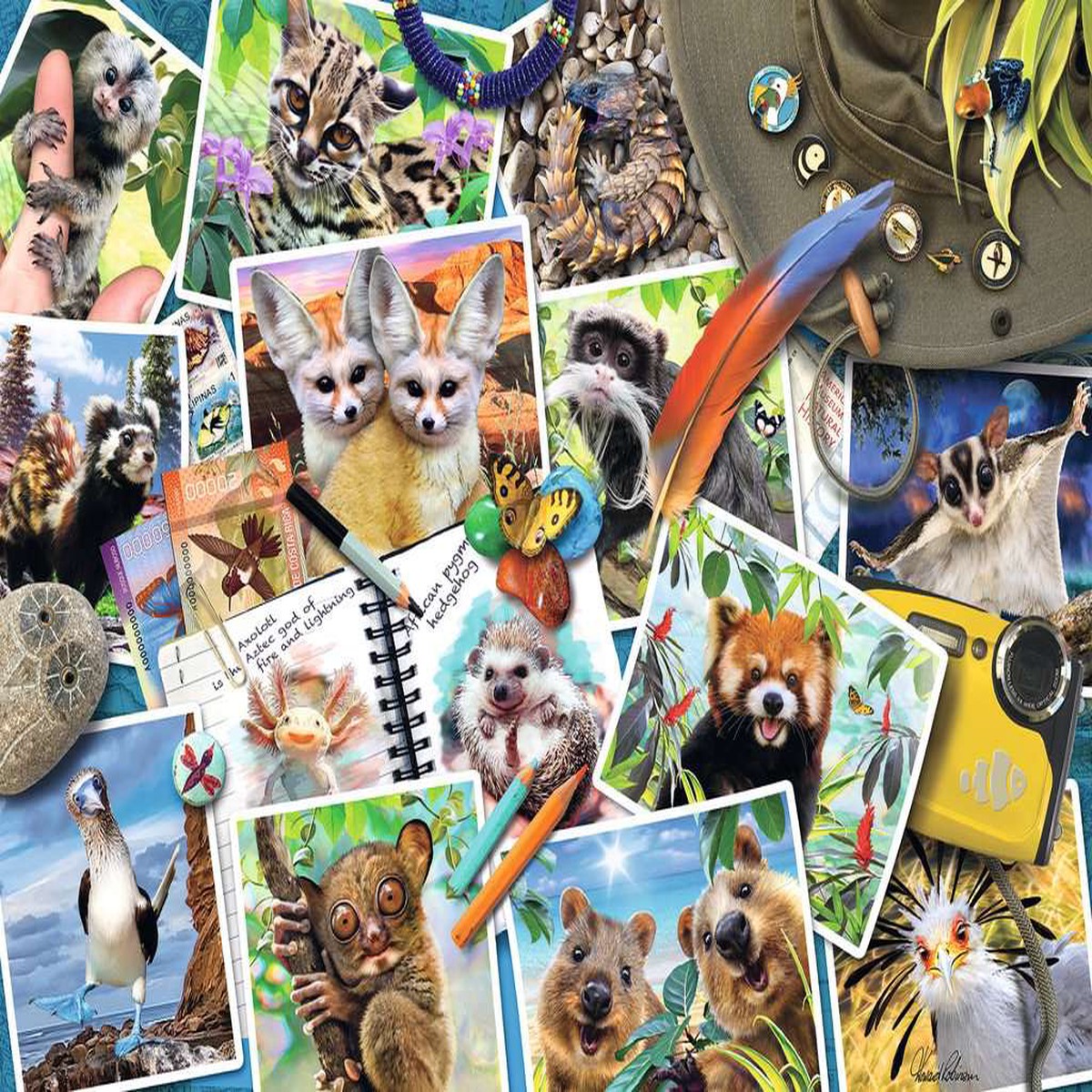 A Traveler's Animal Journal