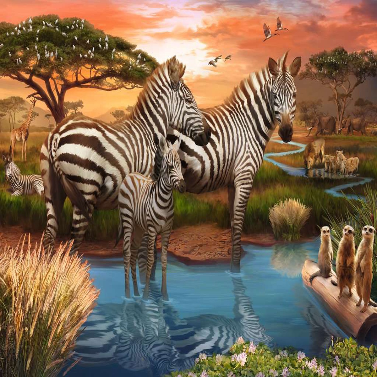 Zebra (500 piece)